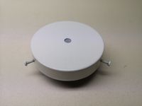 Barrilete blanco
